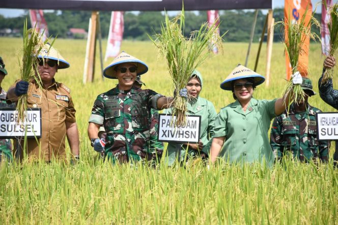 
 Pangdam Hasanuddin : Gelar Panen Raya dan Bakti Sosial Implementasi Ketahanan Pangan Wilayah