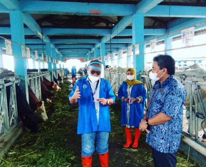 
 Pejabat DPKP Buol Diperiksa Tipikor Polda Sulteng