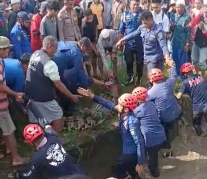 
 Buaya 3 Meter Muncul di Selokan Warga di Maros