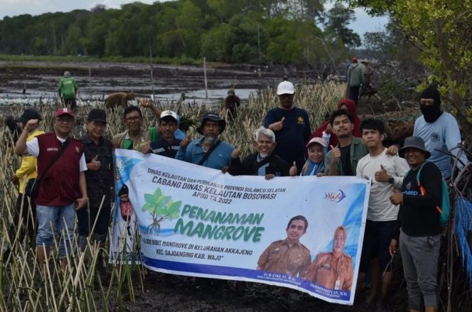 
 Di Pesisir Wajo, DKP Sulsel Bersama Masyarakat Pelestari Lingkungan Tanam 40 Ribu Batang Mangrove 