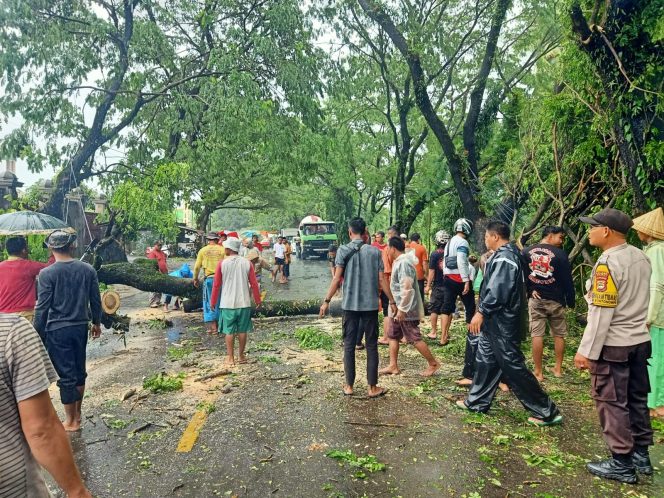 
 Polisi Evakuasi Pohon Tumbang Yang Menutupi Ruas Jalan Poros Bontonompo – Takalar
