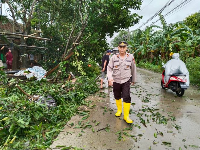 
 Polsek Bontomarannu Respon Cepat Pohon Tumbang yang Tutup Akses Jalan