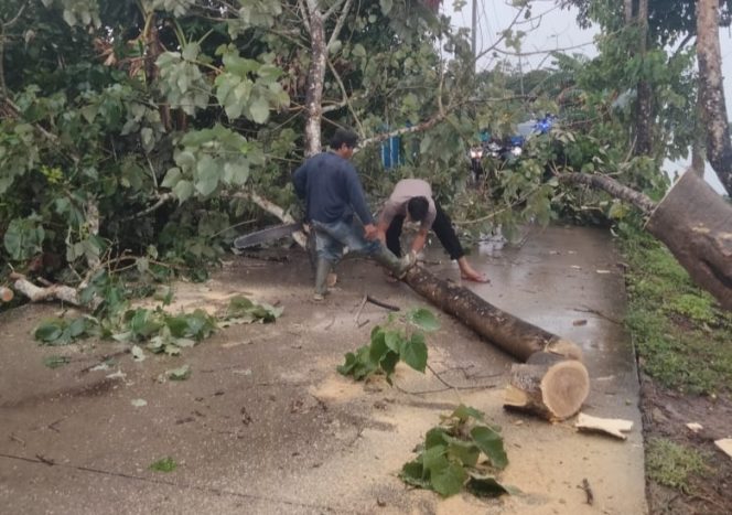 
 Sigap, Polsek Bontomarannu Evakuasi Pohon Tumbang Menutup Akses Jalan Danau Mawang