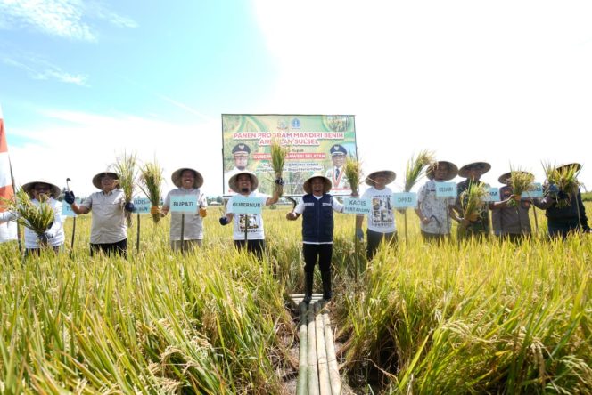 
 6 Ton Menjadi 13 Ton Per Hektar, Mandiri Benih Inovasi Gubernur Dicek BPS