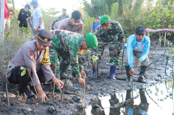 
 Dandim Pasangkayu Ikut tanam pohon Mangrove Nasional serentak
