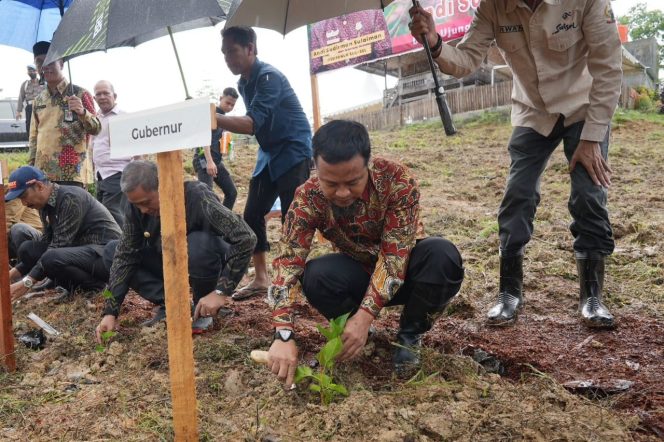 
 Kembalikan Kejayaan Sutera, Gubernur Sulsel Lakukan Penanaman 1 juta bibit Murbei