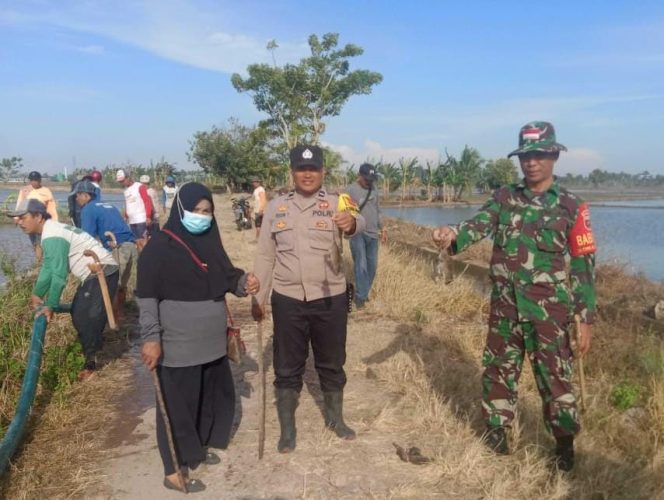 
 Bhabinkamtibmas Polsek Paleteang Polres Pinrang Lakukan Pengendalian Hama Tikus