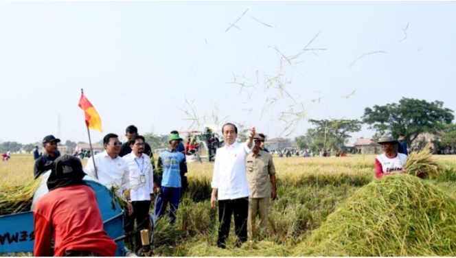 
 Panen Raya di Subang, Presiden: Diharapkan Tambah Cadangan Beras Kita