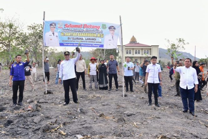 
 Pemkab Sidrap Siapkan 1.500 Hektar Lahan untuk Budidaya Pisang