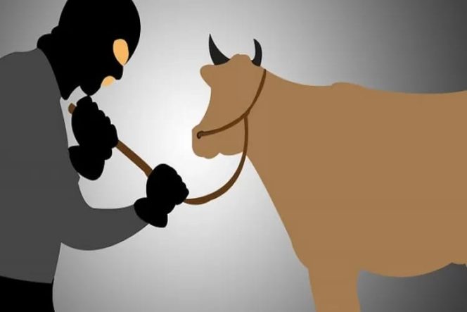 
 “Duo Sejoli Sulawesi” Anggota DPR-RI Diduga Terlibat Kasus Pengadaan Sapi di Kementan Yang Diusut KPK