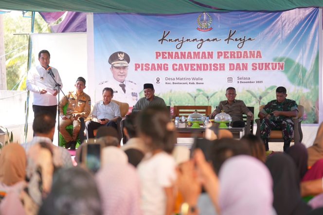 
 Pj Gubernur Sulsel Ajak Petani  Budidaya Pisang, Masyarkat Lainnya Keluhkan Soal Pendidikan 