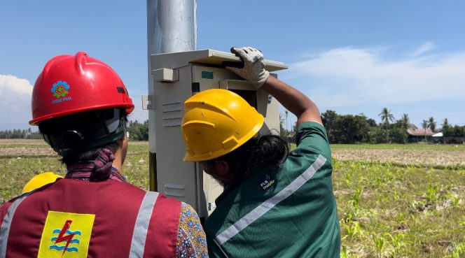 
 Listrik Hijau dari PLN Mampu Tekan Biaya Operasional Petani di Sulsel Hingga 83 Persen
